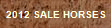 2012 Sale Horses